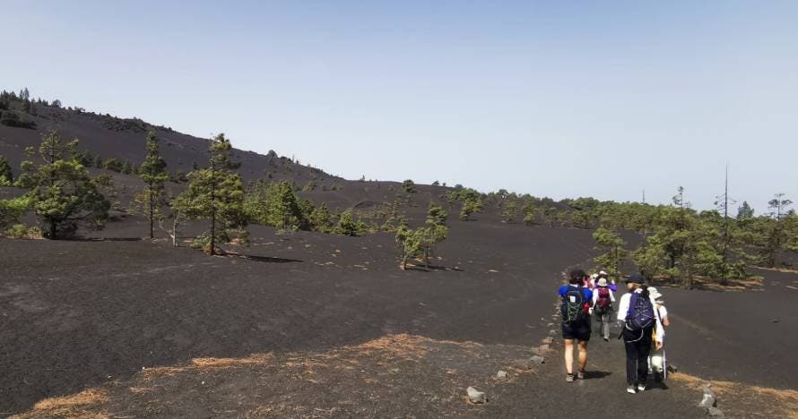 Siguiendo la huella del Volcán de Tajogaite a pie y en autobús