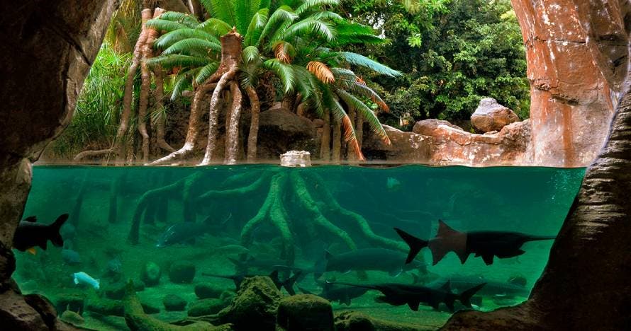 Bioparc Fuengirola