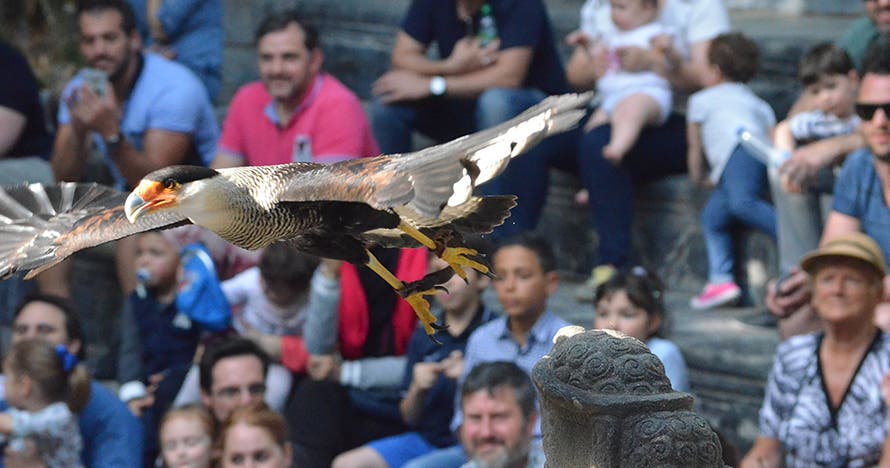 Bioparc Fuengirola