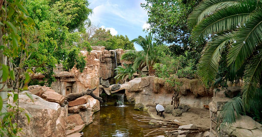 Bioparc Fuengirola