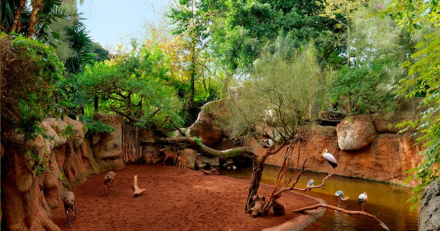 Bioparc Fuengirola
