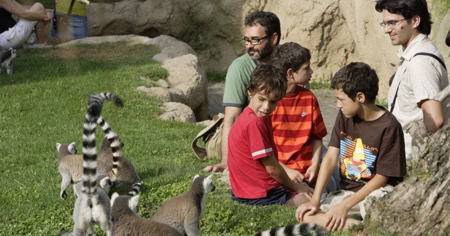 Bioparc Valencia
