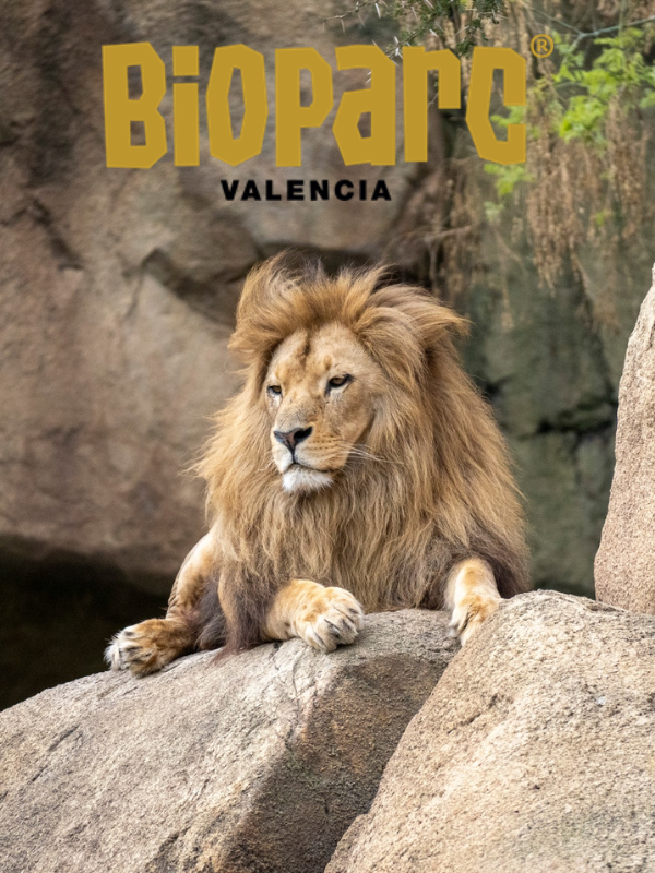 Bioparc Valencia