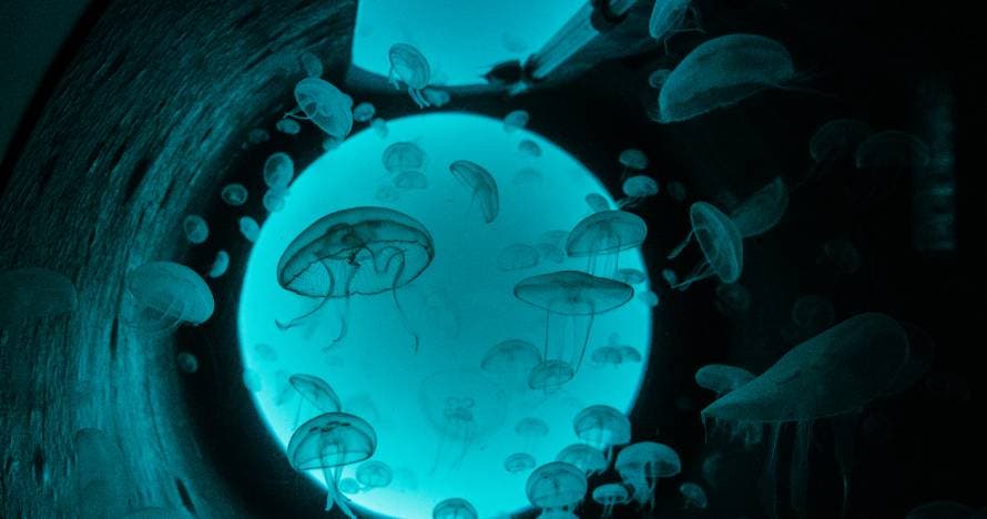 Acuario de Gijón