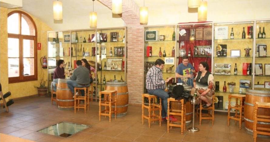 Los secretos del vino en esta visita a Cavas Canals & Munné con cata