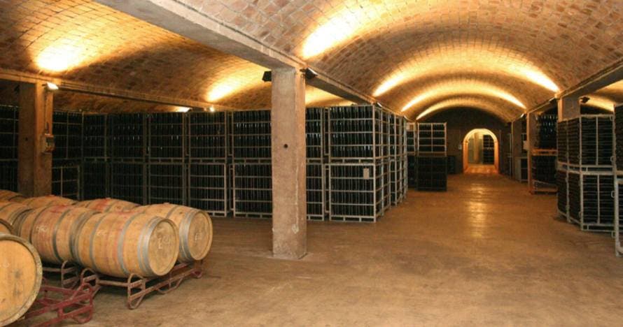 Los secretos del vino en esta visita a Cavas Canals & Munné con cata