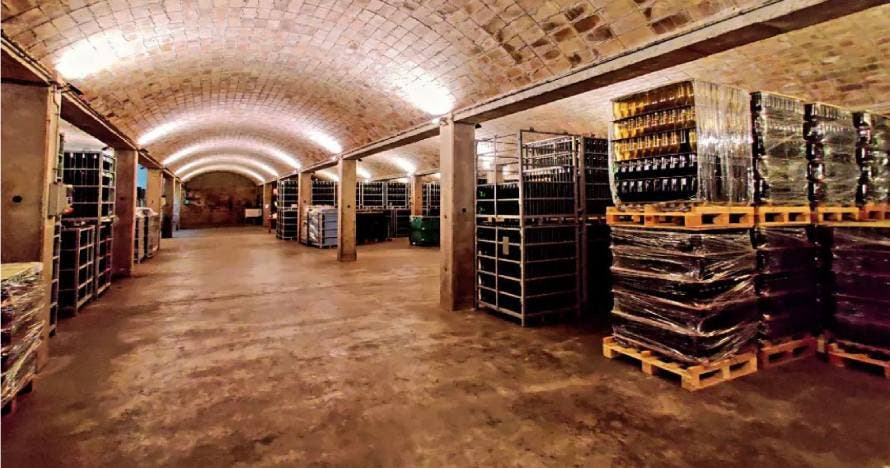 Los secretos del vino en esta visita a Cavas Canals & Munné con cata