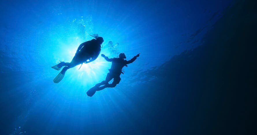 Curso Iniciación al buceo B1 Estrella CMAS