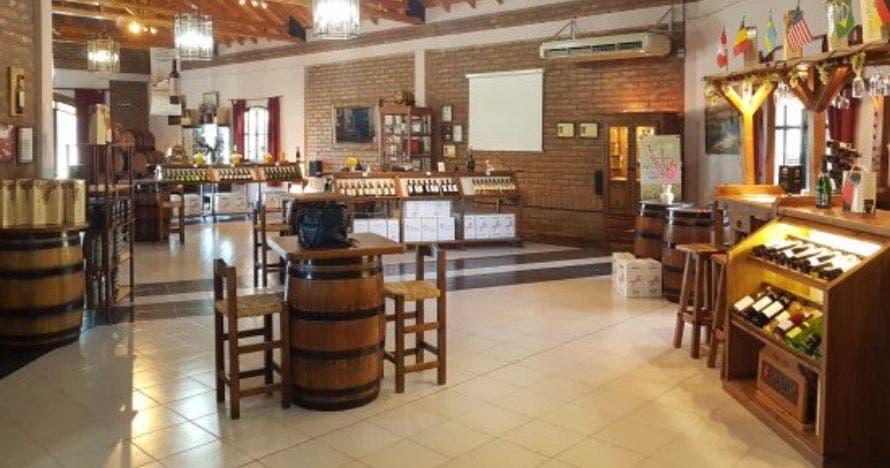 Excursión viñedos y bodegas