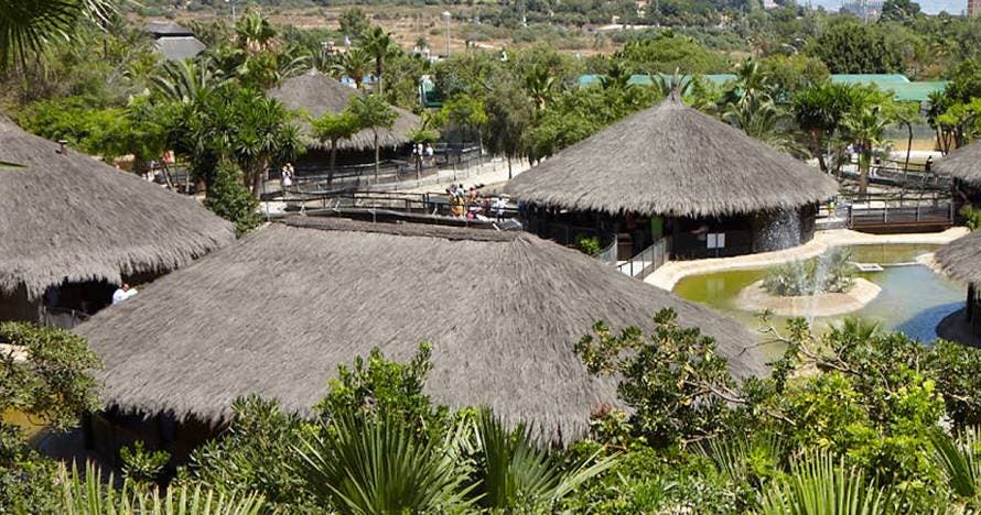 Crocodrile Park