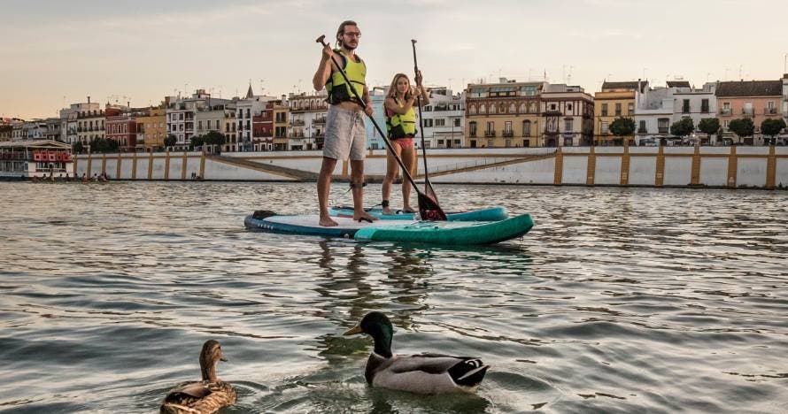 Sevilla: tour de paddle surf de 1 hora y media