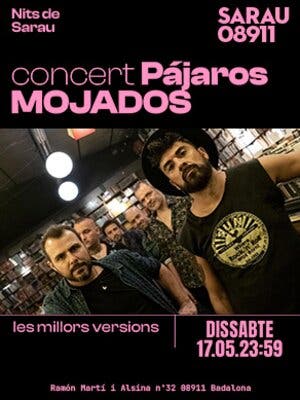 Concierto Pájaros Mojados y la banda sonora en Sarau08911
