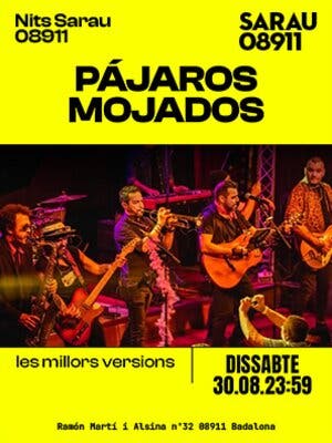 Concierto Pájaros Mojados y la banda sonora en Sarau08911