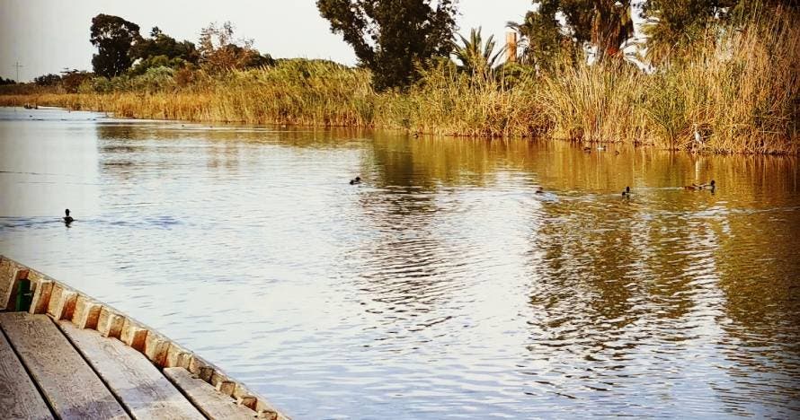 Paseo en barca por la Albufera