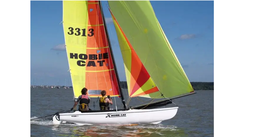 Excursión en Catamarán para 4 personas