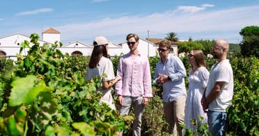 Brinda y disfruta: cata de vinos y espumosos en Finca Nadal foto 3