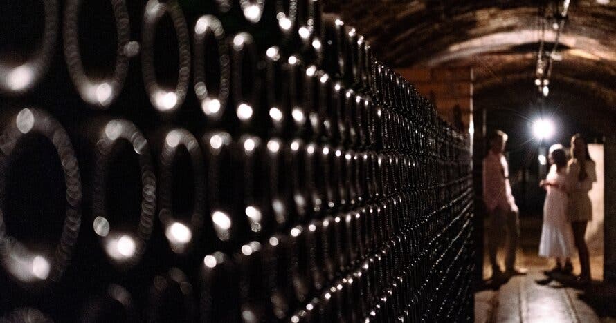 Brinda y disfruta: cata de vinos y espumosos en Finca Nadal