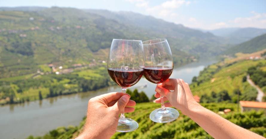 Tour del vino: Valle del Douro con almuerzo, cata y crucero por el río