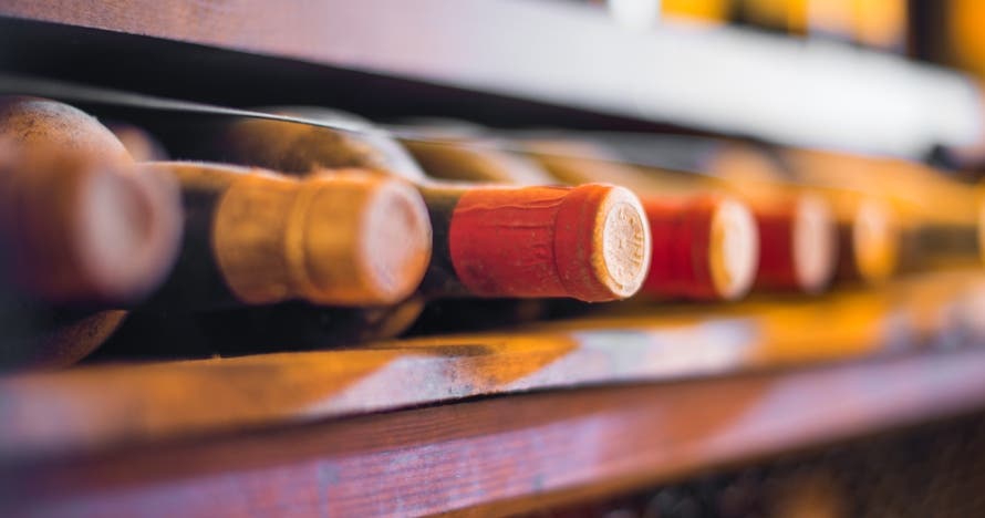 Cata de vinos ecológicos de pequeños elaboradores y surtido de quesos
