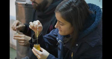 Cata dirigida de mieles COMPLETA foto 1