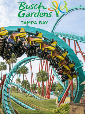 Busch Gardens Tampa y Seaworld Orlando