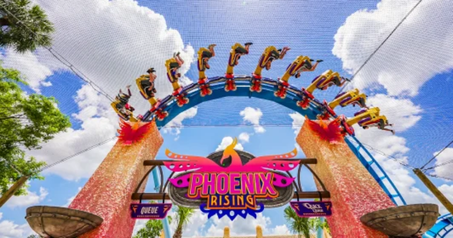 Busch Gardens Tampa y Seaworld Orlando