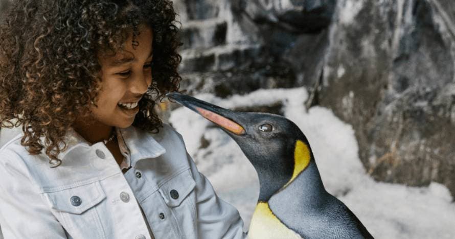 SeaWorld® Parks con fecha abierta
