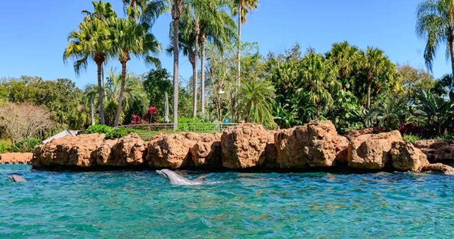 SeaWorld® Parks con fecha abierta