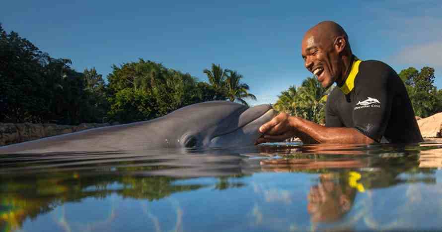 Discovery Cove
