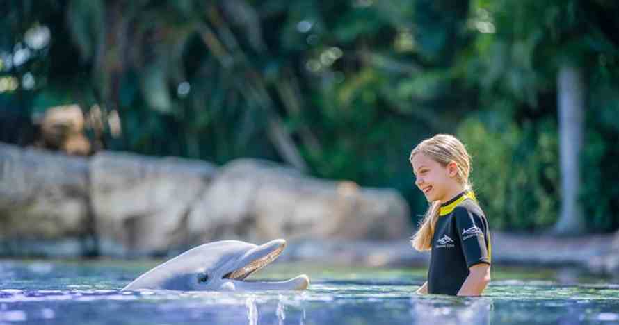 Discovery Cove
