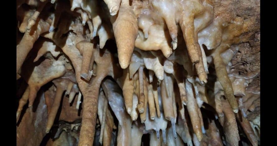 Espeleología-Sima del Llest