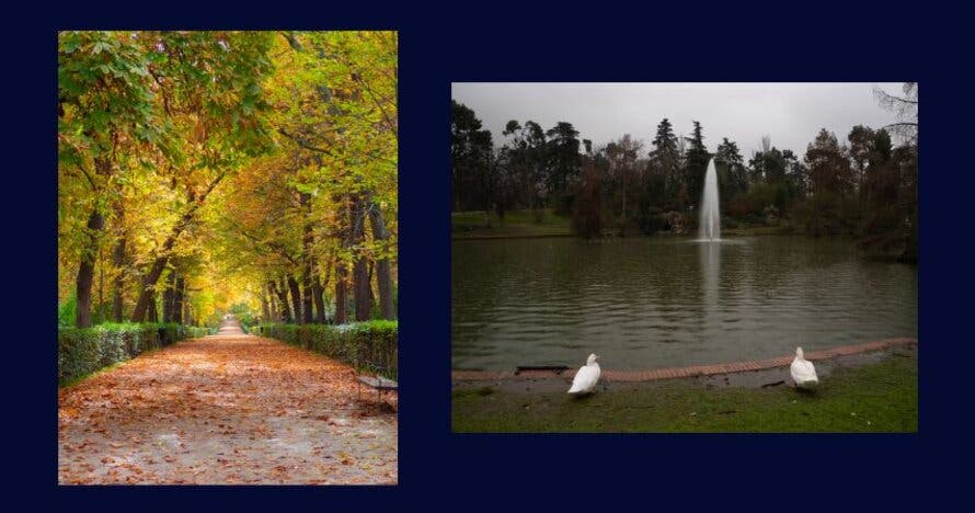 Descubre al asesino en el Parque del Retiro con VisitEscape