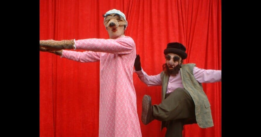 Caperucita Ecológica