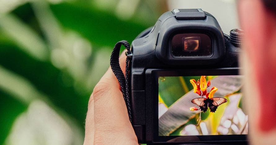 Curso de Fotografía con Profesores en Vivo