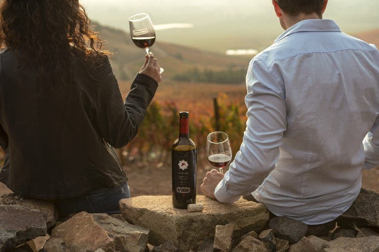 Tour Premium Amplus con degustación en Viña Santa Ema