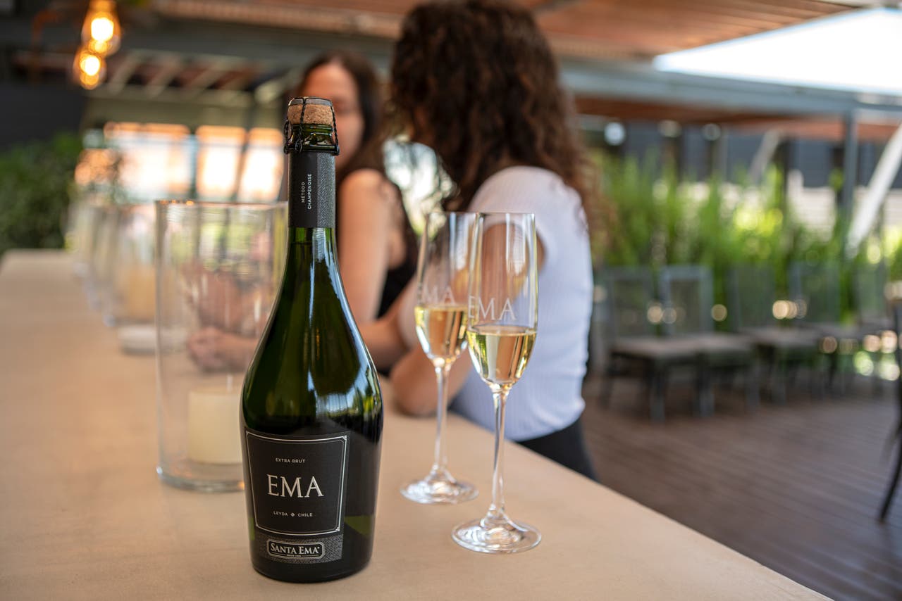 Tour Premium Amplus con degustación en Viña Santa Ema