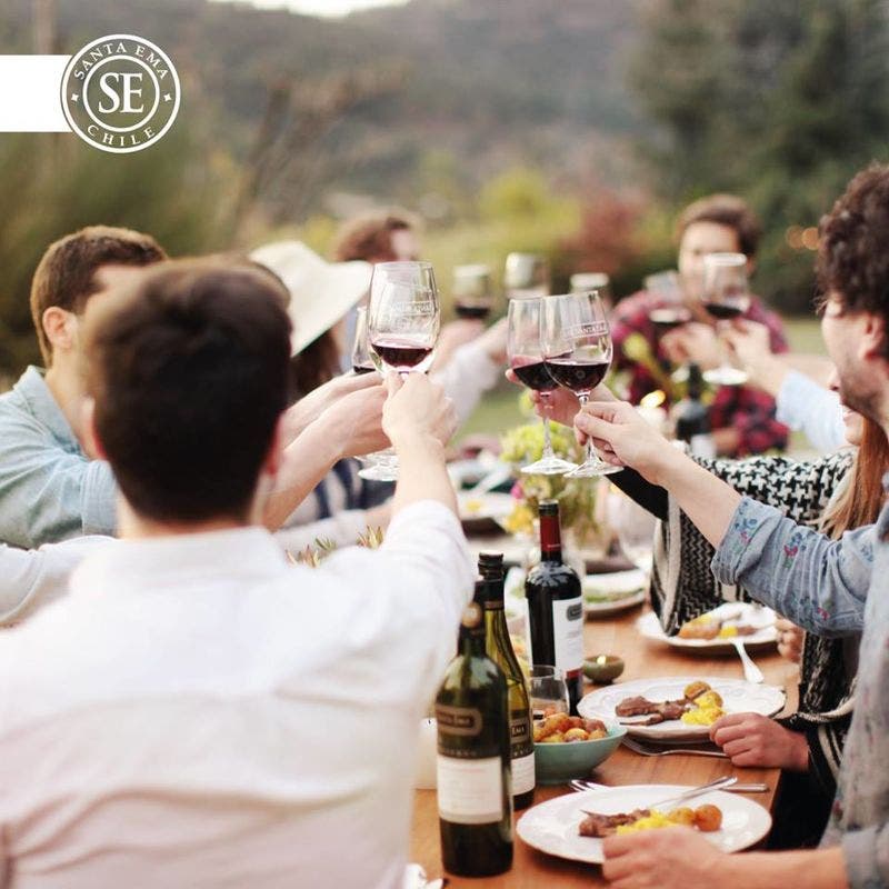 Tour Premium Amplus con degustación en Viña Santa Ema
