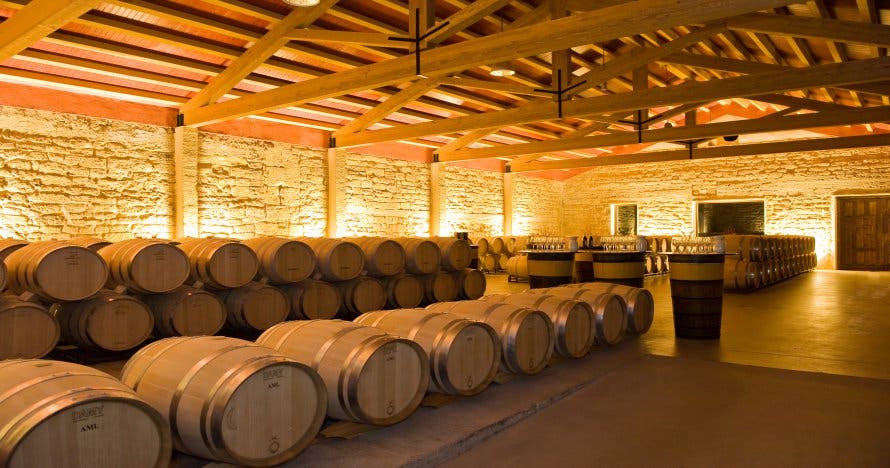 Descubre la esencia del vino en Bodegas Bilbainas con cata de 3 vinos