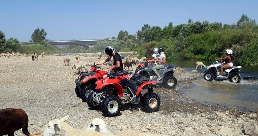 Tours en Quads