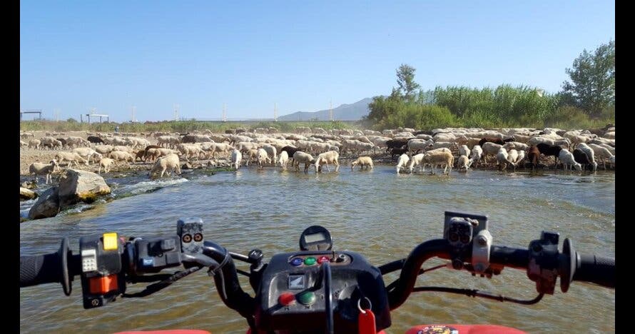 Tours en Quads