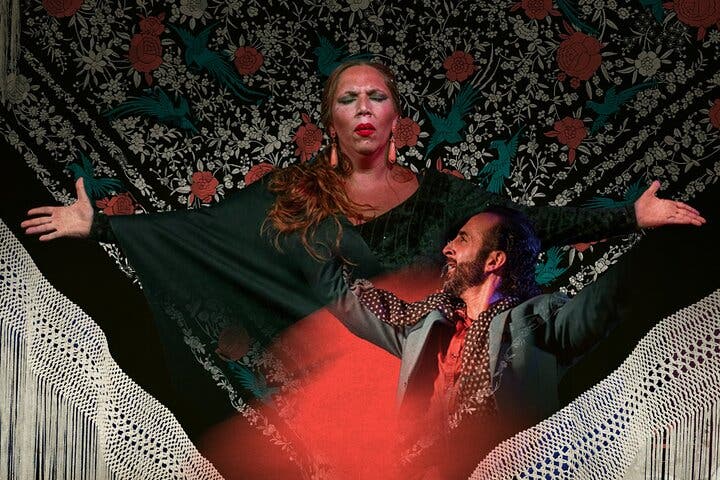 Espectáculo auténtico de flamenco. Alegria y gastronomia Málaga