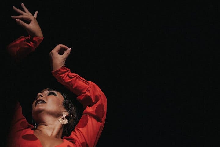 Espectáculo auténtico de flamenco. Alegria y gastronomia Málaga