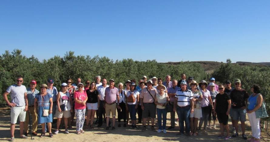 Visita guiada, degustación de AOVE, Geoda Gigante y mucho más