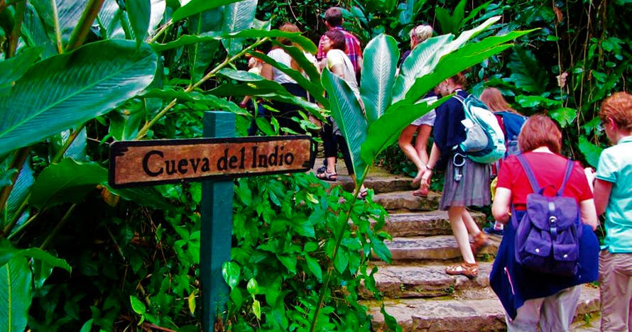 Tour Viñales en auto clásico