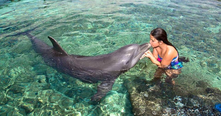 Un día de aventura explorando Barú, Islas y Oceanario