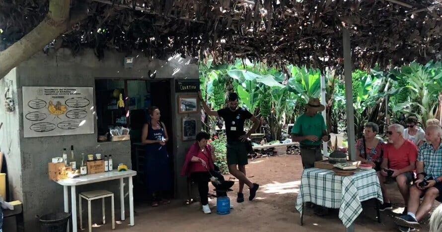 Del plátano al vino: excursión culinaria en el sur de la isla