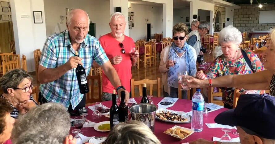 Del plátano al vino: excursión culinaria en el sur de la isla