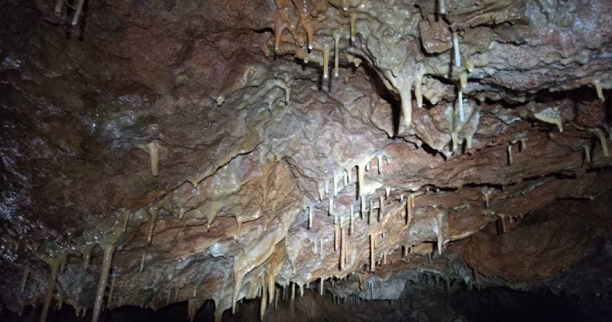 Espeleología Sima Joan Cabeza