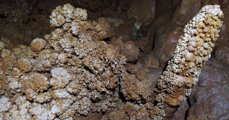 Espeleología Sima Joan Cabeza