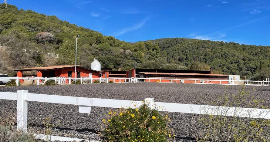 Paseo a caballo por el Montseny